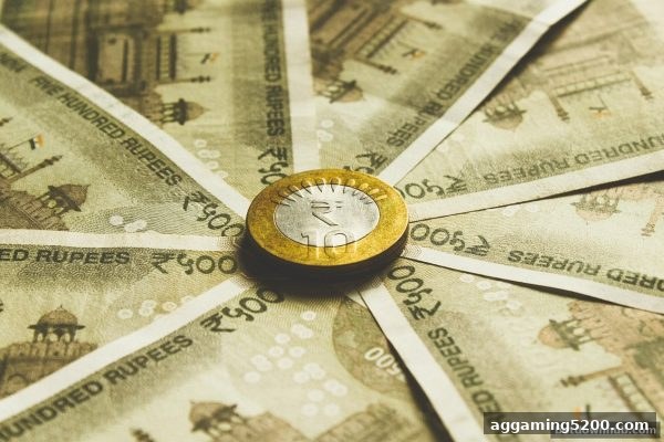 体育下注平台USDT充值审核终极指南：提升通过率的实战技巧