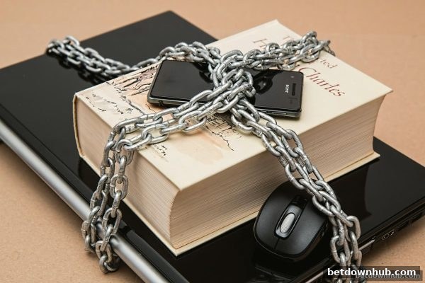 体育下注平台用户反馈深度解析：从评价中识别运营风险的实战指南