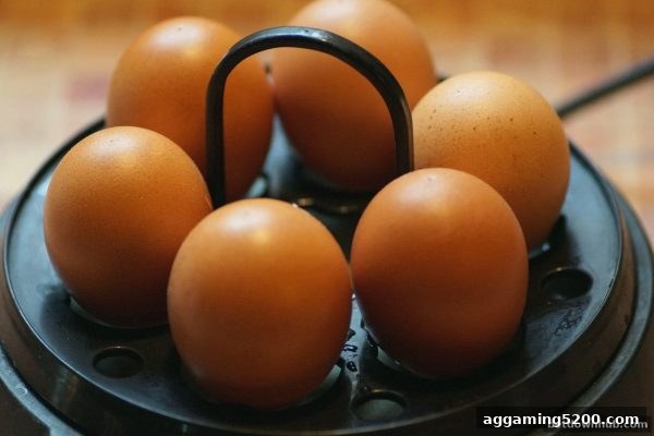 免费旋转玩法深度剖析：体育下注平台如何用免费转动激活玩家热情